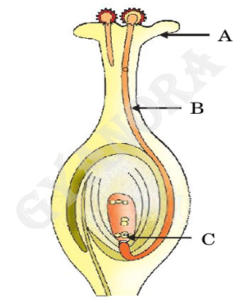 screenshot 2026 01 11 133921